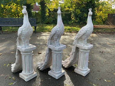 Lot 263 - A group of three plaster peacocks standing...