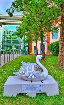 Lot 3 - "THE SILVER SWAN" Artist: Julie Greenaway...