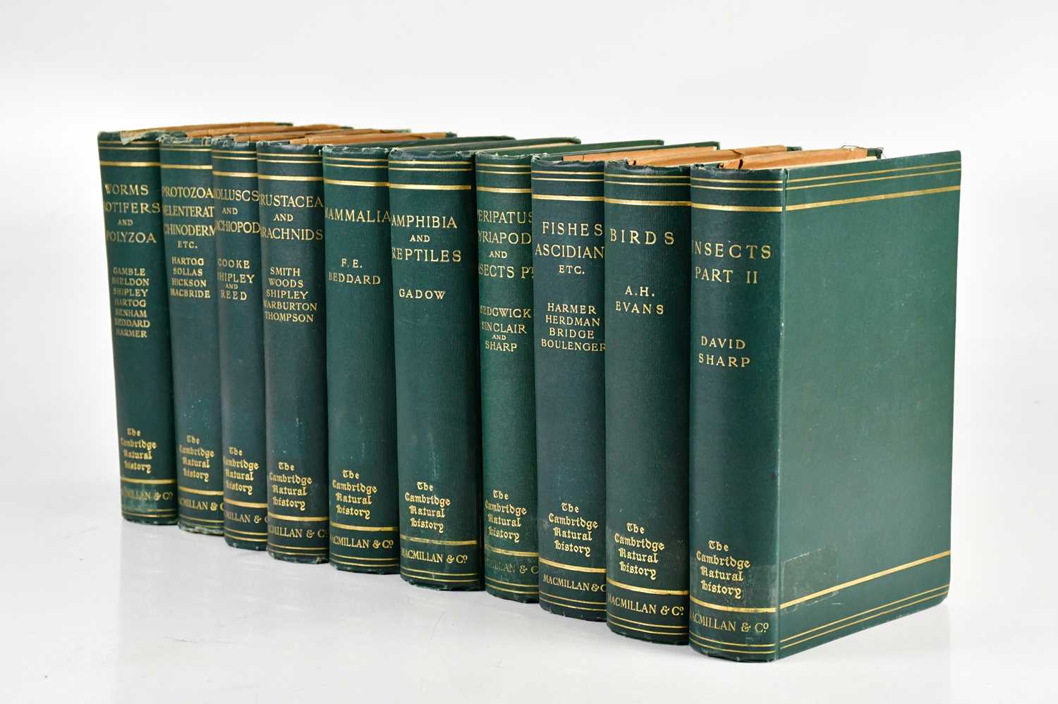 Lot 735 - THE CAMBRIDGE NATURAL HISTORY, 10 vols, green...