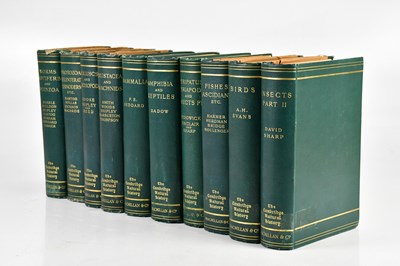 Lot 735 - THE CAMBRIDGE NATURAL HISTORY, 10 vols, green...