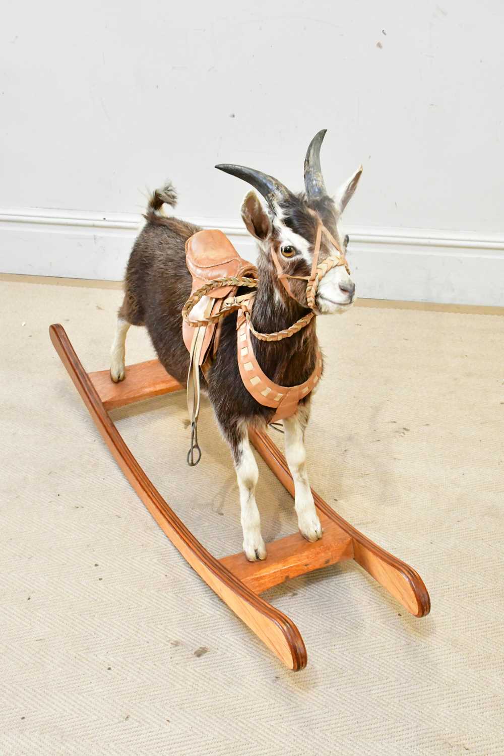 Lot 2602 - TAXIDERMY; a rocking goat, mounted on a wooden...