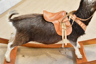 Lot 2602 - TAXIDERMY; a rocking goat, mounted on a wooden...