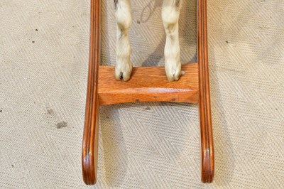 Lot 2602 - TAXIDERMY; a rocking goat, mounted on a wooden...