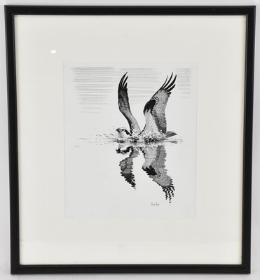 Lot 228 - CHRIS ROSE (born 1959); pen and ink drawing,...