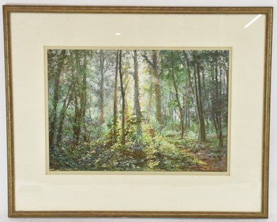 Lot 280 - MARGARET GLASS (born 1950); oil on board,...