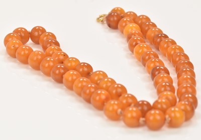 Lot 578 - A string of graduated hand tied amber coloured...