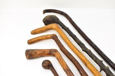 Lot 563 - Six natural style walking sticks, length of...