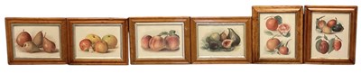 Lot 341 - A set of six 19th century maple framed still...