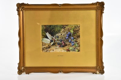 Lot 808 - JOHN SHERRIN (1819-1896); watercolour, still...