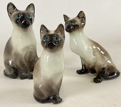 Lot 145 - WINSTANLEY; three Siamese cats comprising...