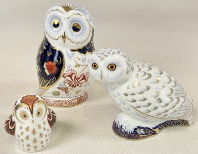 Lot 153 - ROYAL CROWN DERBY; three owl paperweights in...