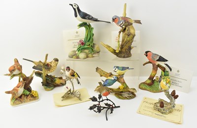 Lot 522 - COALPORT; six British bird model limited...