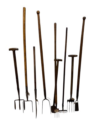 Lot 419 - Nine vintage garden/farming tools, including a...