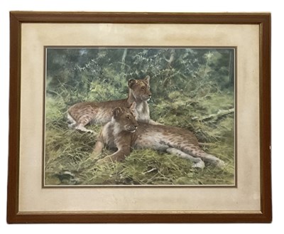 Lot 172 - JOHN SEEREY-LESTER; watercolour, two tigers,...