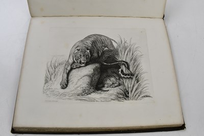 Lot 820 - LANDSEER (T), ENGRAVINGS OF LIONS, TIGERS,...