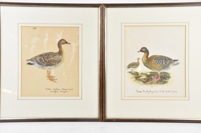 Lot 1946 - ENGLISH SCHOOL; a set of eight pencil,...