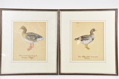 Lot 1946 - ENGLISH SCHOOL; a set of eight pencil,...