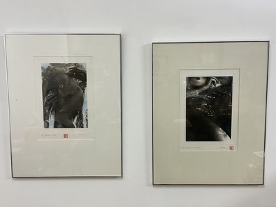 Lot 454 - JENNIFER DICKSON; a pair of limited edition...