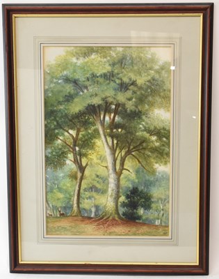 Lot 234 - THOMAS HOWES (born 1837); watercolour,...