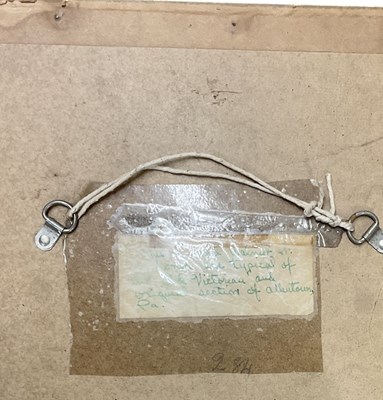 Lot 277 - PHILIP MENINSKY (1919-2007); two pastel...