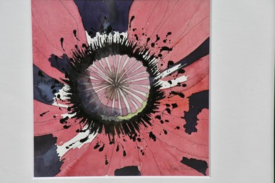 Lot 518 - KAY ELLIOTT; watercolour, study of flower,...