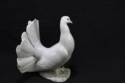 Lot 526 - LLADRO; a model of a white dove, height 20cm.