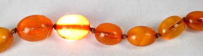 Lot 1092 - Two continuous amber-style necklaces, one with...