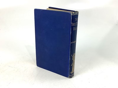 Lot 1829 - LANG (ANDREW), THE BLUE STORY BOOK, pictorial...