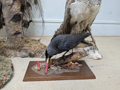 Lot 1367 - TAXIDERMY; a large model of a peacock perching...