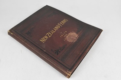 Lot 37 - NEW ZEALAND FERNS; a late 19th century album...