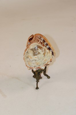 Lot 1249 - A pair of unusual carved conch shells mounted...