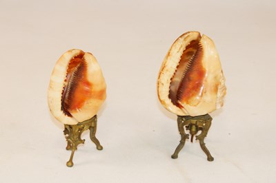 Lot 1249 - A pair of unusual carved conch shells mounted...