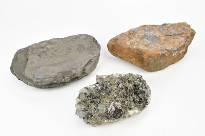 Lot 1398 - NATURAL MINERALS; two large bedrock fossils,...