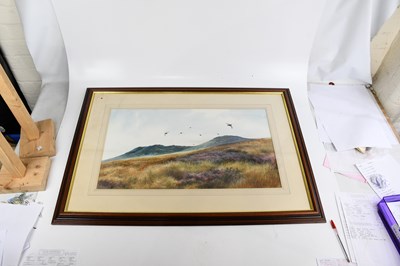 Lot 354 - BERRISFORD HILL; watercolour, flock of grouse...