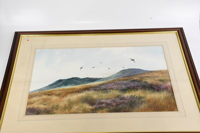 Lot 354 - BERRISFORD HILL; watercolour, flock of grouse...