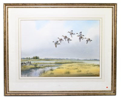 Lot 346 - ROBERT W MILLIKEN; watercolour, 'Pintails...