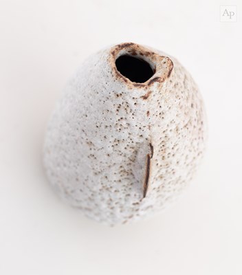 Lot 10 - AKIKO HIRAI (born 1970); a stoneware seed pod...