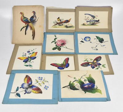 Lot 326 - Four early 19th century hand coloured drawings...