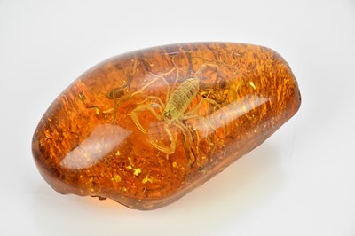 Lot 1544 - A scorpion preserved in amber tree resin.