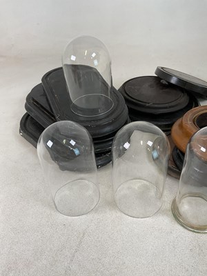 Lot 28 - A quantity of glass domes and bases, with no...