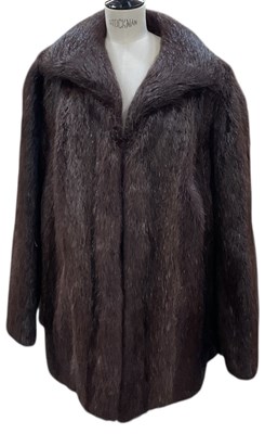 Lot 454 - An early 20th century musquash fur coat, size 48.