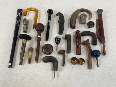 Lot 19 - An interesting collection of cane and walking...