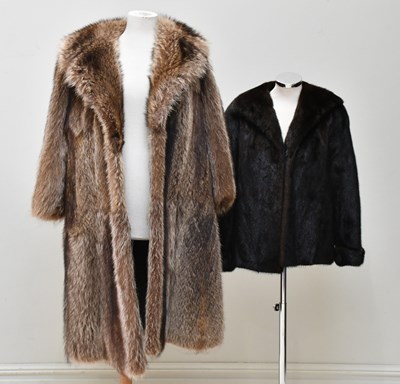 Lot 741 - CHRIS COURTENAY WILLIAMS; a full length beaver...