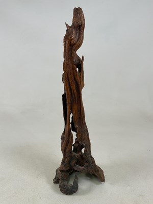 Lot 52 - A root wood sculpture, height 71cm.