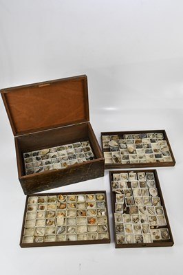 Lot 1499 - A wooden storage chest housing four trays of...