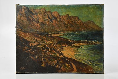 Lot 204 - R G C; oil on canvas, South African coastal...