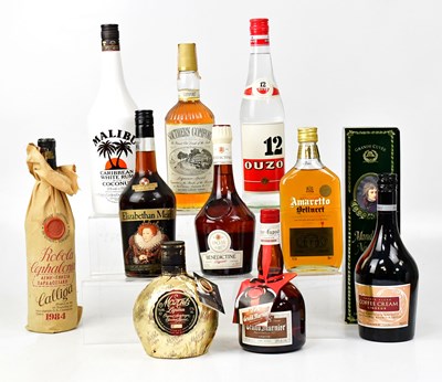 Lot 1019 - Eleven bottles of spirits and liqueurs,...