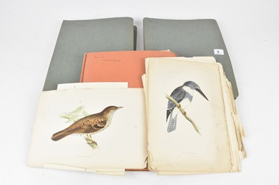Lot 342 - A collection of hand coloured book plates of...