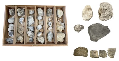 Lot 348 - FOSSILS; an early to mid 20th century tabletop...