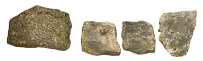 Lot 300 - FOSSILS; four large stone sections containing...